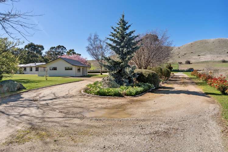 2514 Tarras-Cromwell Road Tarras_30