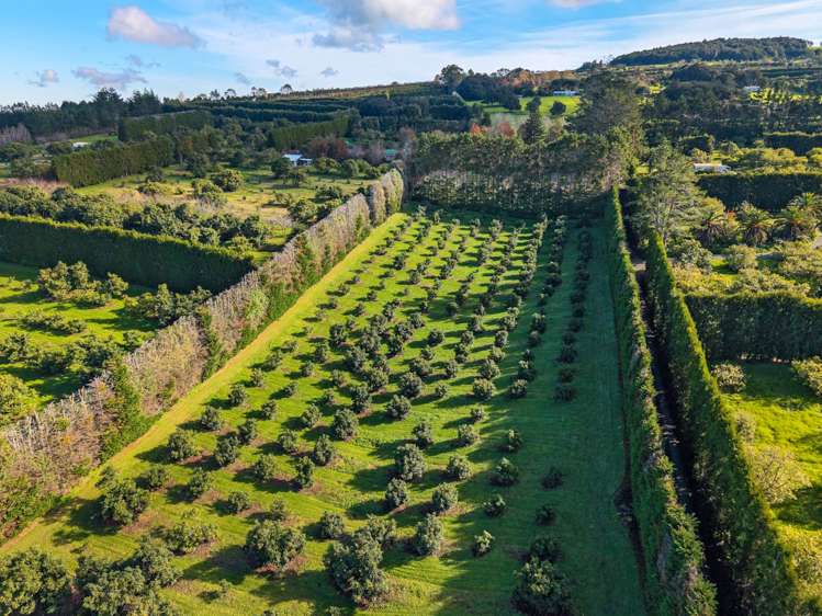 5 Tatton Road Maungatapere_19
