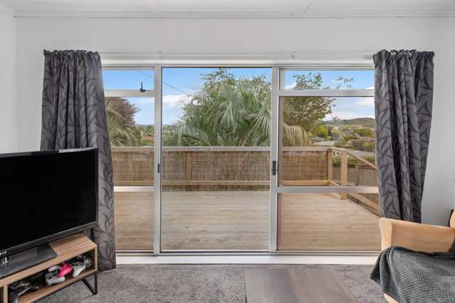 4 Terrace Avenue Morrinsville_2