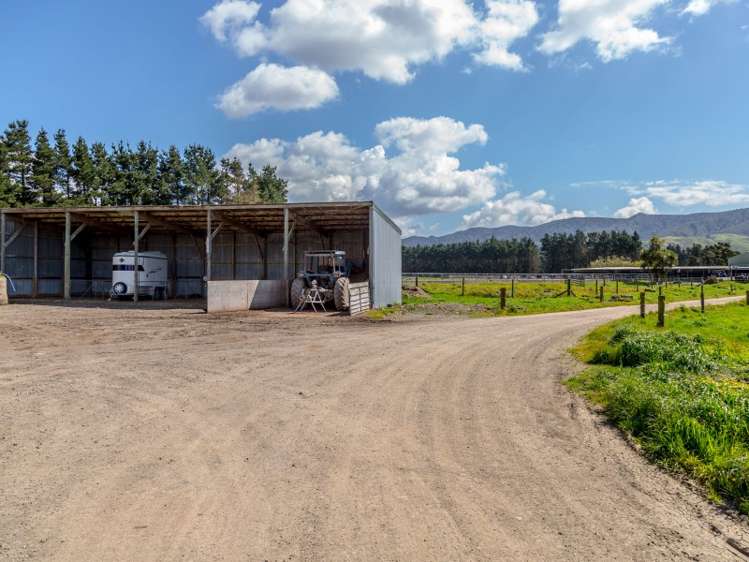 1125 Kakariki Road Eketahuna_8