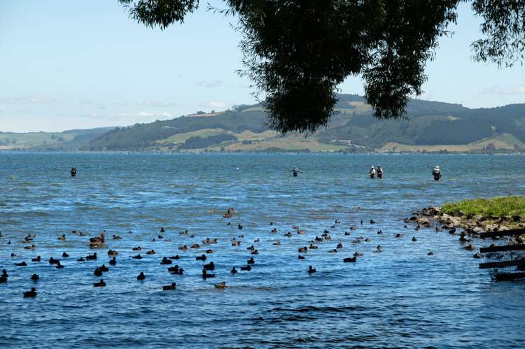 802 Hamurana Road Hamurana_45