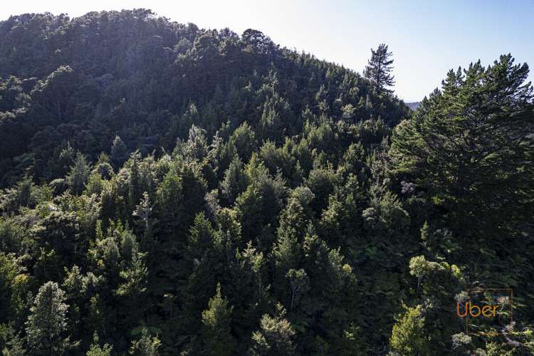 74 Waiparera Road Parua Bay_22