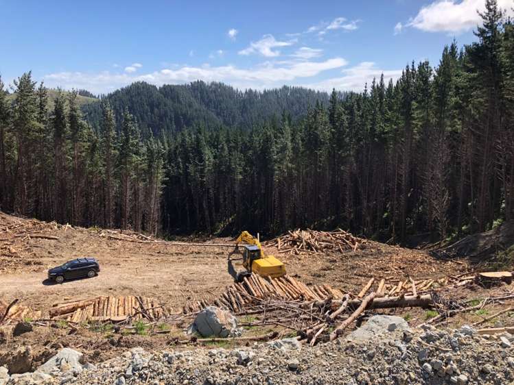 Duncan Road Waimata_8