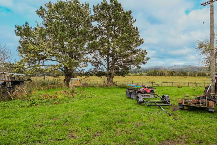 854 Nelson Creek Road Hochstetter_20