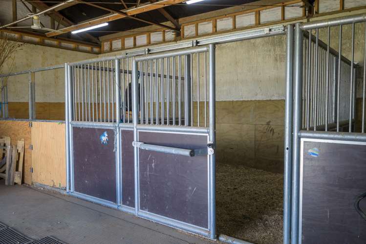 23C Broadmeadows Road Tamahere_10