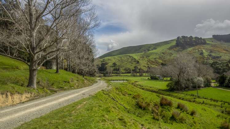 631 Otahome Road Whareama_13