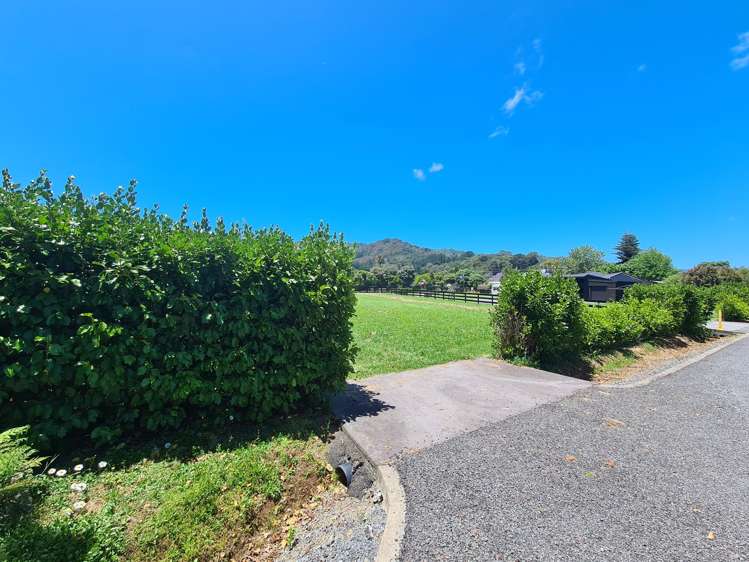 39E Whangapoua Road Coromandel_11