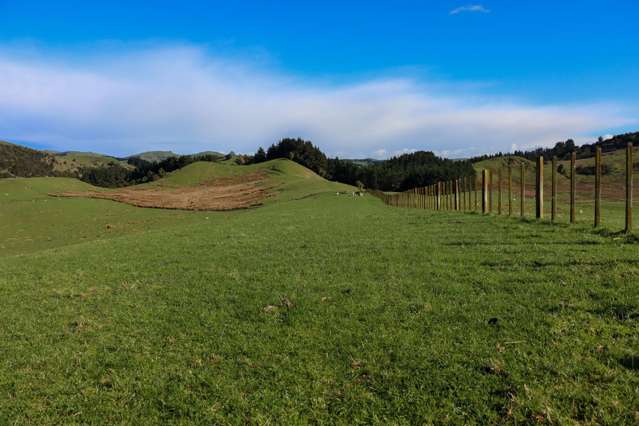 98 Millstream Road Dannevirke_4