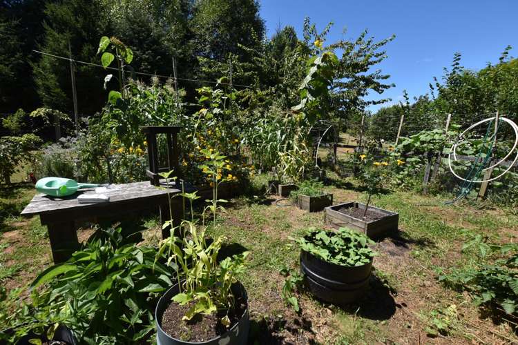 16 Bullians Avenue Taumarunui_17