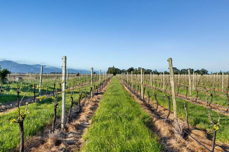 687 Dillons Point Road Blenheim_6
