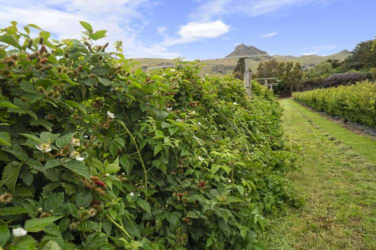 36A Horotane Valley Road Heathcote Valley_24