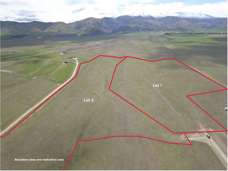 Lot 1 McArthur Roar_5