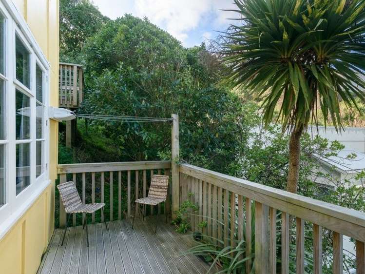 58c Norway Street Aro Valley_12