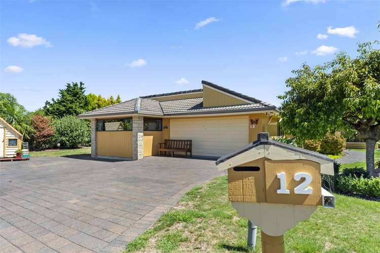 12 Belvedere Grove Rangatira Park_19