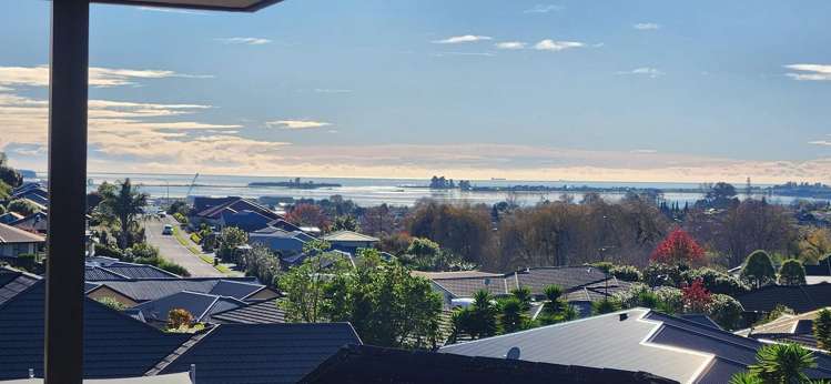 78 Chelsea Avenue Richmond_16
