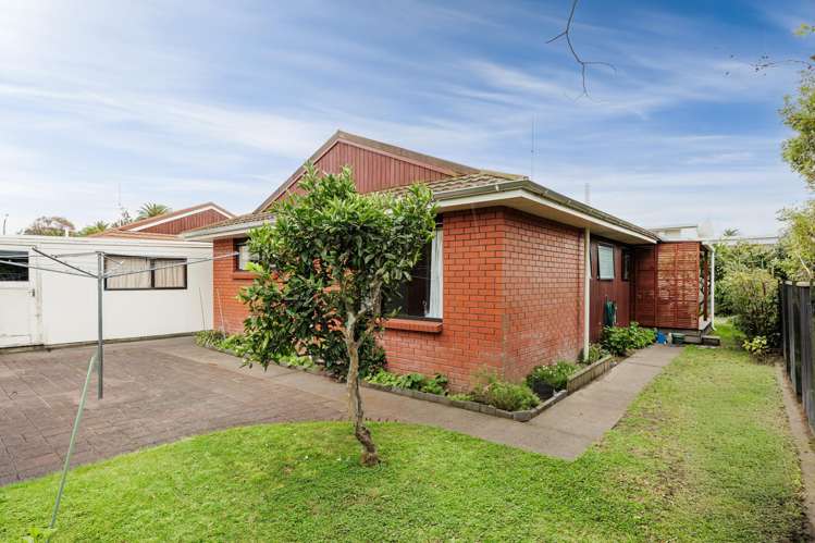 87B Georges Drive Napier South_11