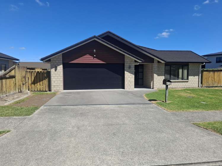 17 Ihimaera Terrace 1093_0