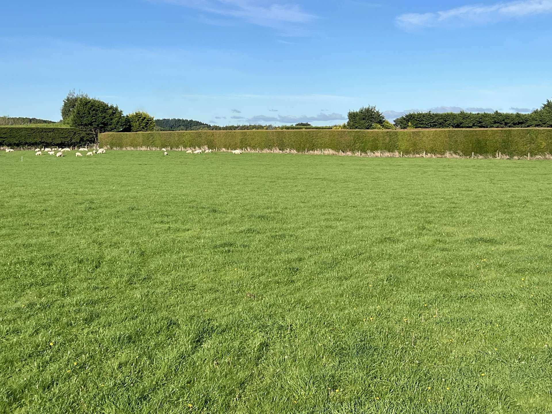 41 Billy Way West Plains_0