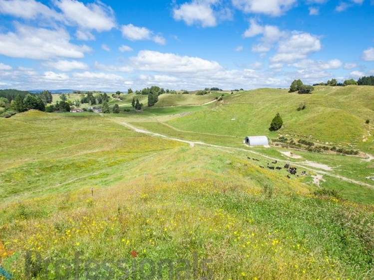 1788 Manawahe Road Manawahe_2