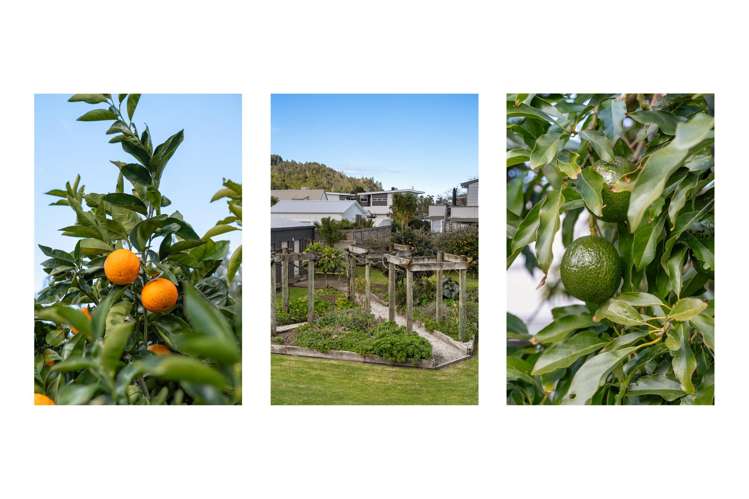 102 Leighton Road Whangamata_21