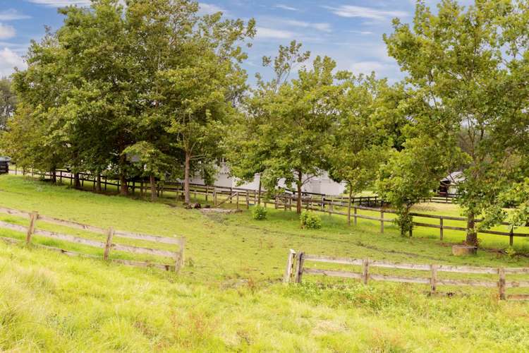 298 Rimmer Road Helensville_36