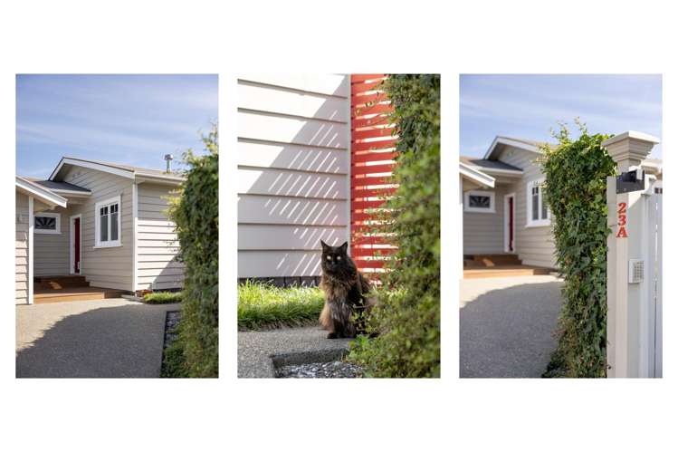 23A Maitland Street Greerton_22