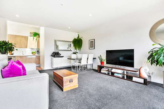 424b Richmond Road Grey Lynn_3