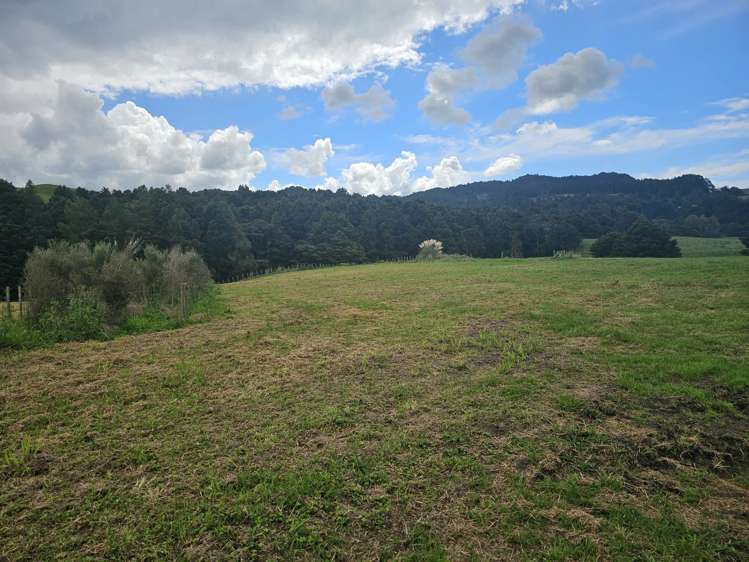 Lot Lot 1 Dodd Road Maungaturoto_19