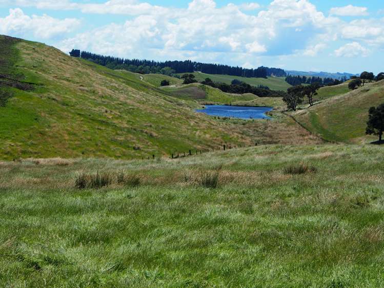 456 Ngawaka Road Central Hawkes Bay Country_15