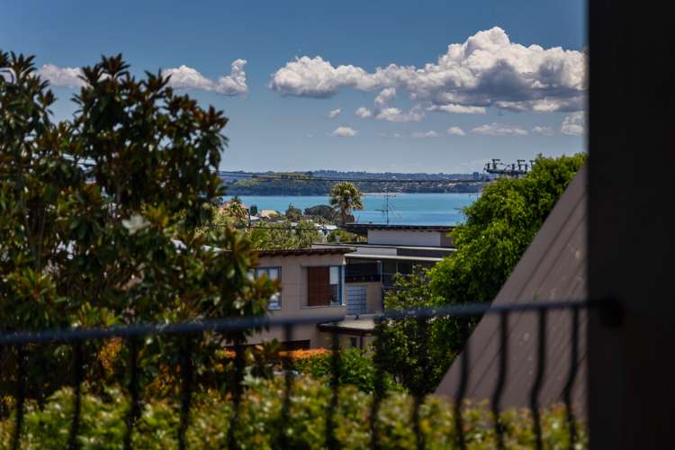 118a Saint Heliers Bay Road Saint Heliers_8