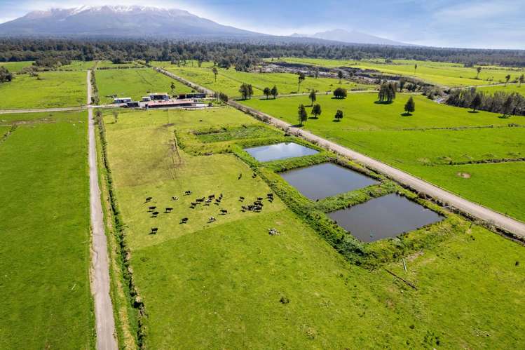 756 Surrey Road Norfolk_10