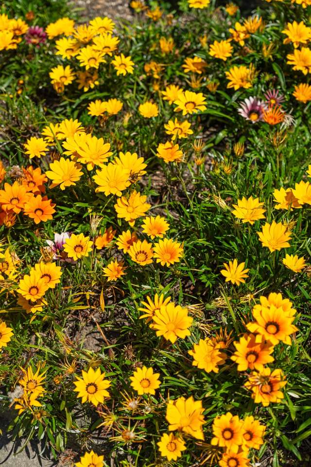 1 & 2/75 Domain Road Whakatane_3