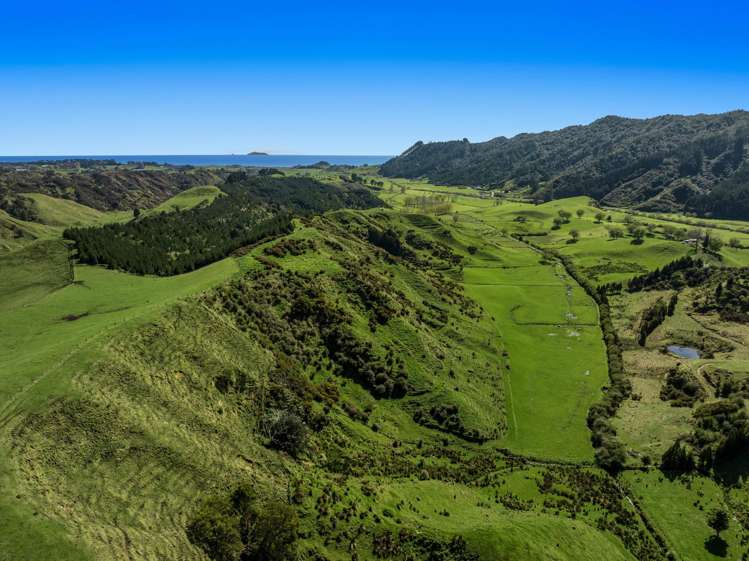 294 Tirohanga Road Opotiki_19