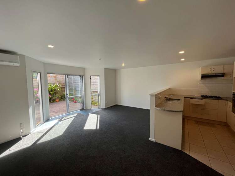 48 Palmgreen Court Stanmore Bay_2