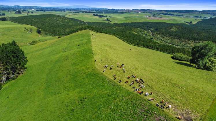 301 Matarawa Road Kinleith_25