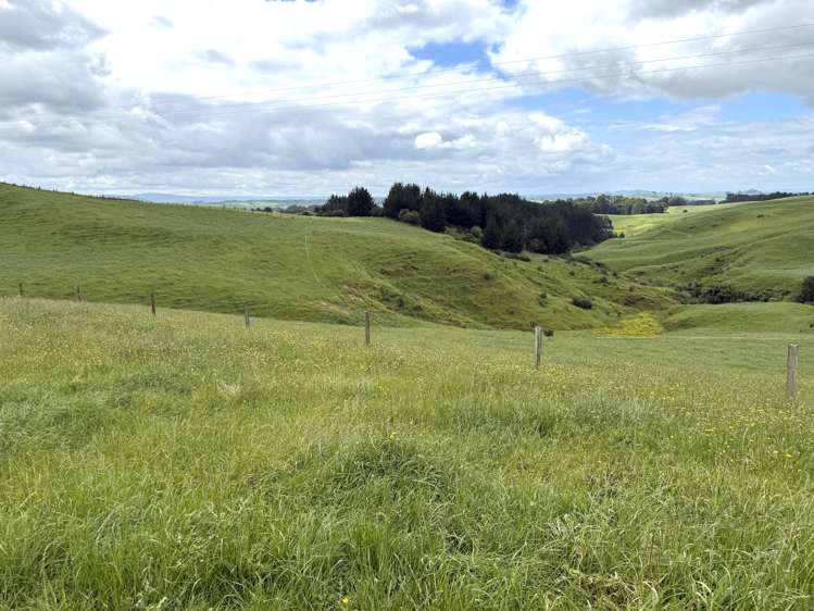 Taotaoroa Road Karapiro_46