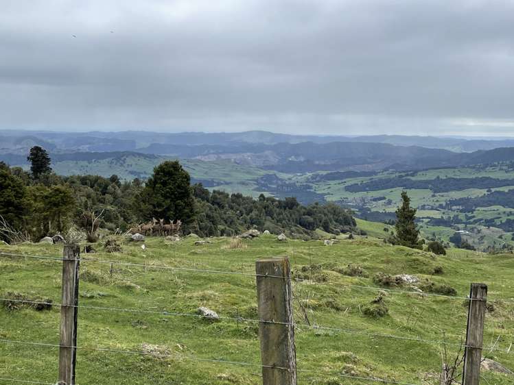 Mangakahu Valley Road Waimiha-Ongarue_22