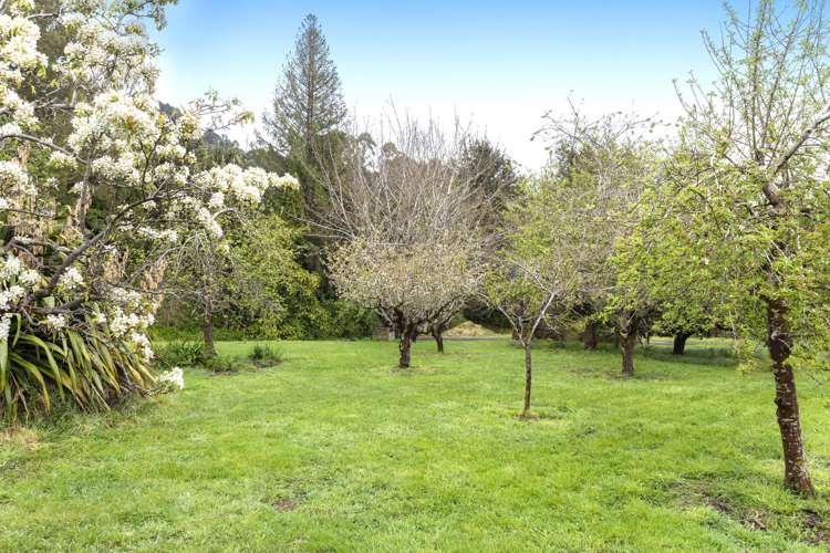 215 Okuti Valley Road Little River_38