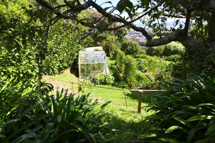 157 Moana Avenue Moana_26