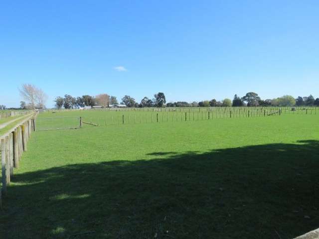 1447 Waughs Road Feilding_3