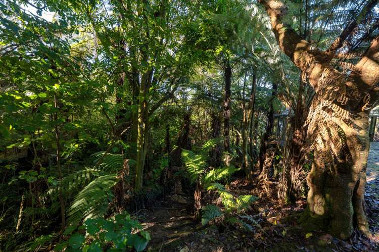 18 & 20 Te Toroa Drive Lake Tarawera_18