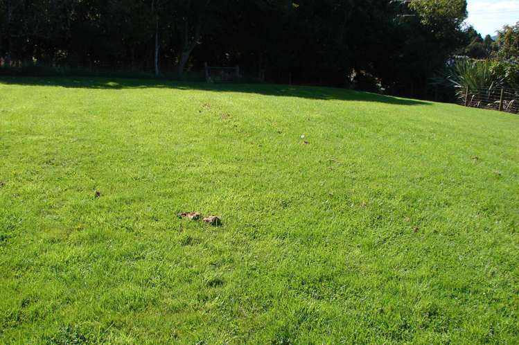 586 Niagara-Waikawa Road Waikawa_13