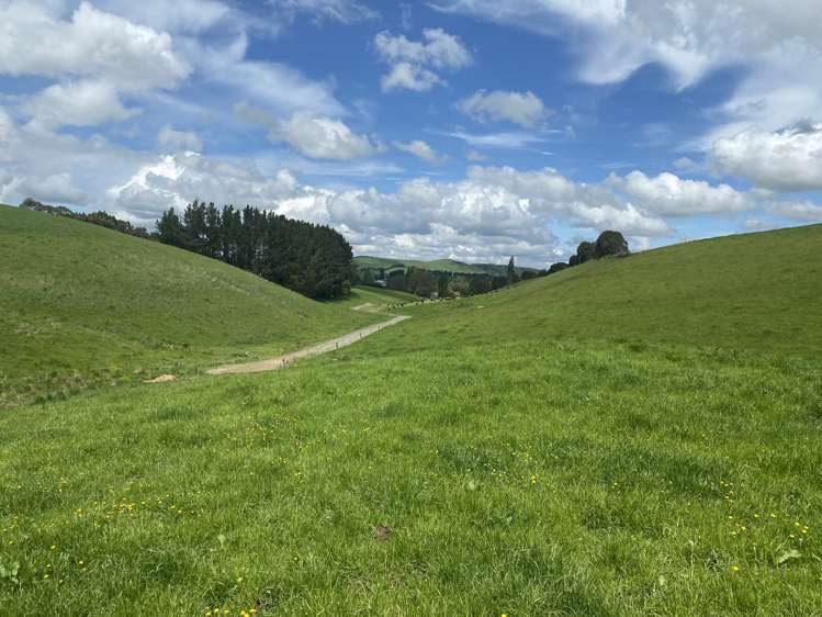 322 Wendon Creek Road Gore Surrounds_6