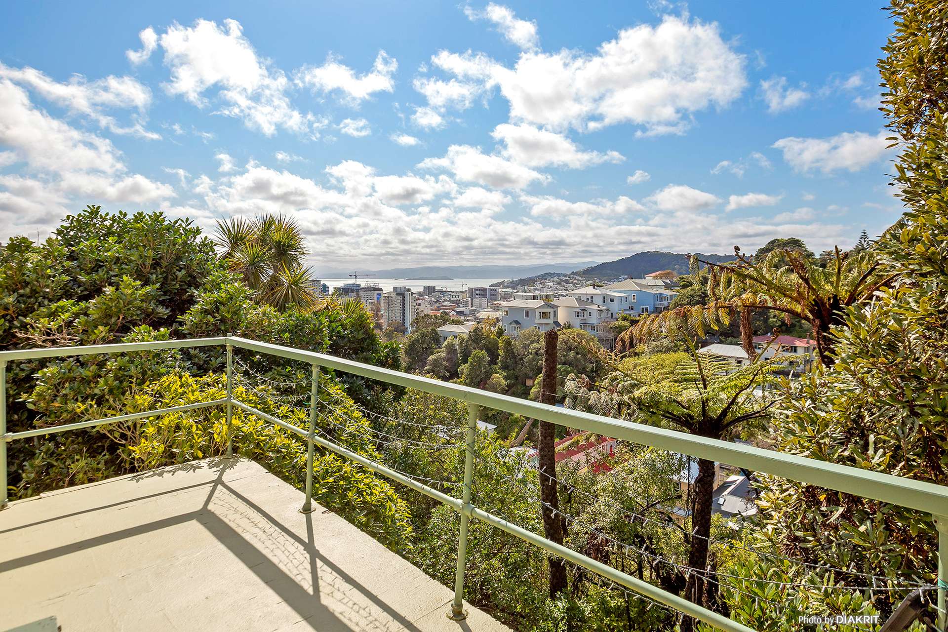 10 Mortimer Terrace Aro Valley_0