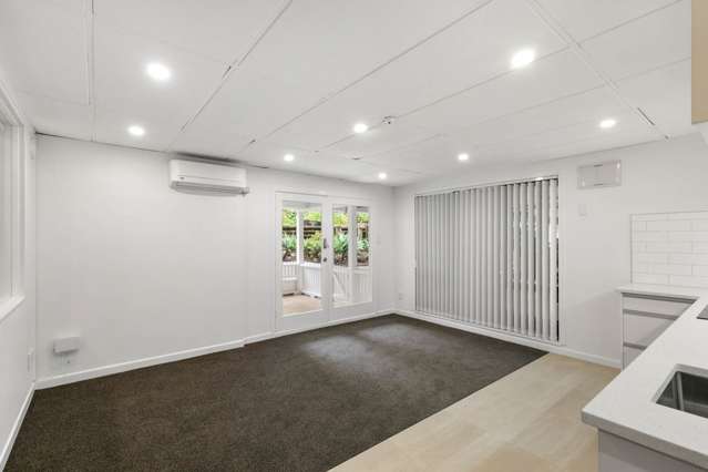 1/28 Ruskin Street Parnell_2