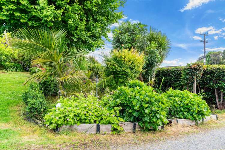 28 Pyle Road West One Tree Point_5