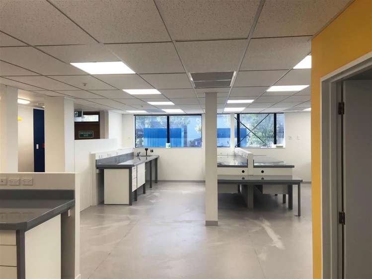 36b Seaview Road Seaview_5