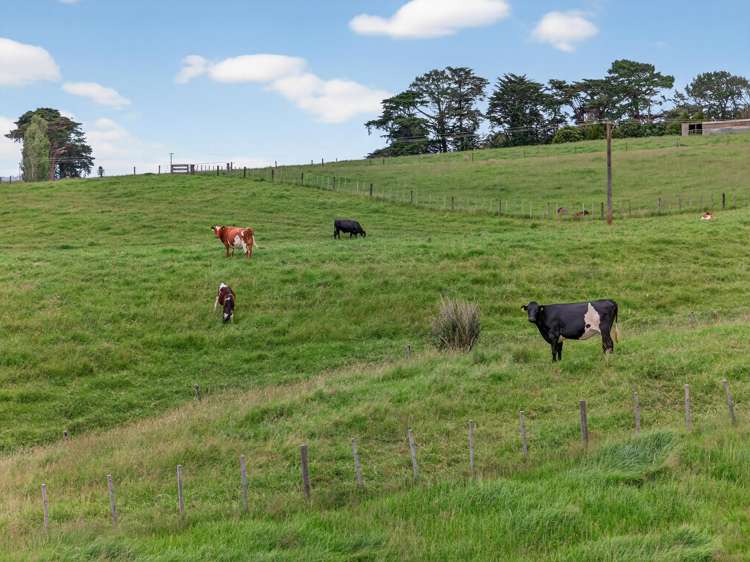 00 Awhitu Road Waiuku_16