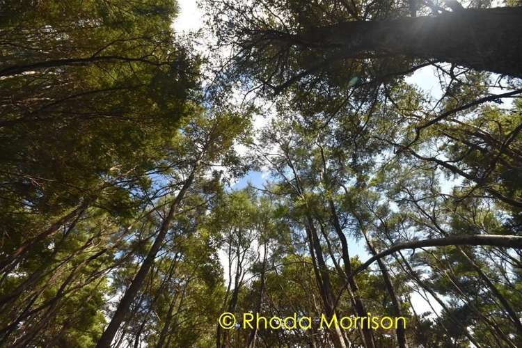 280 Central Road Mareretu_47