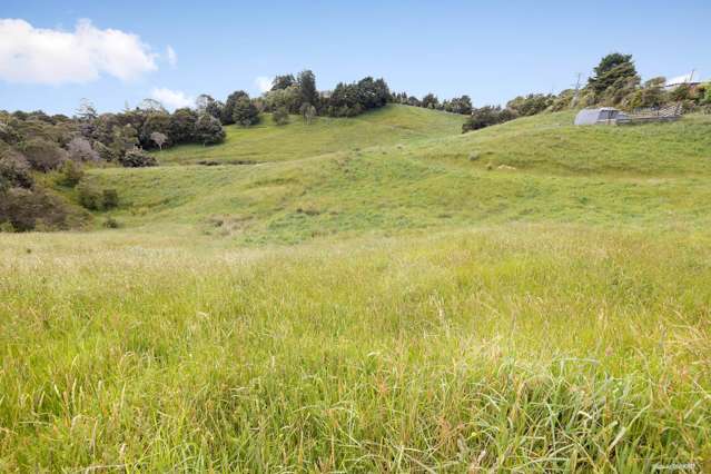 167C Rataroa Road Miranda_2